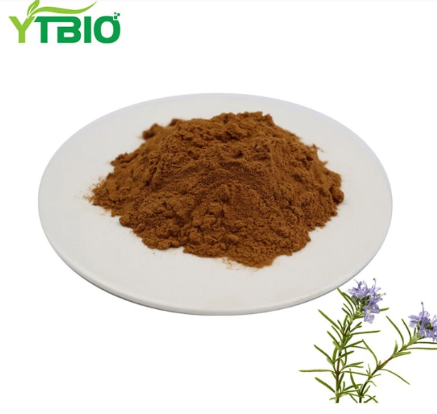 Rosemary extract Powder